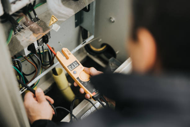 Best Electrical Repair Services  in Carson City, MI