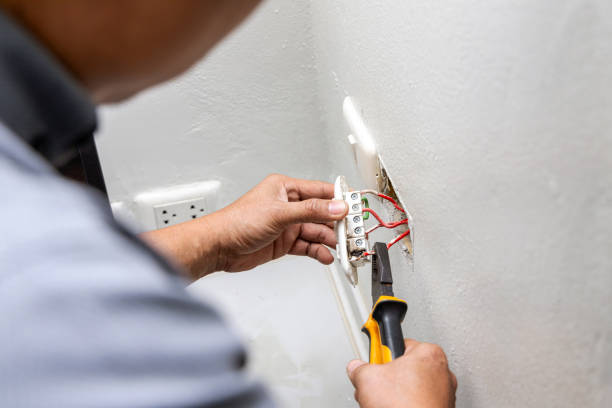Best Outdoor Lighting Installation  in Carson City, MI