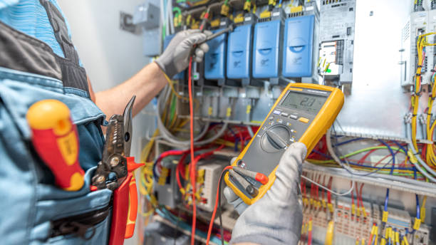 Best Electric Panel Repair  in Carson City, MI