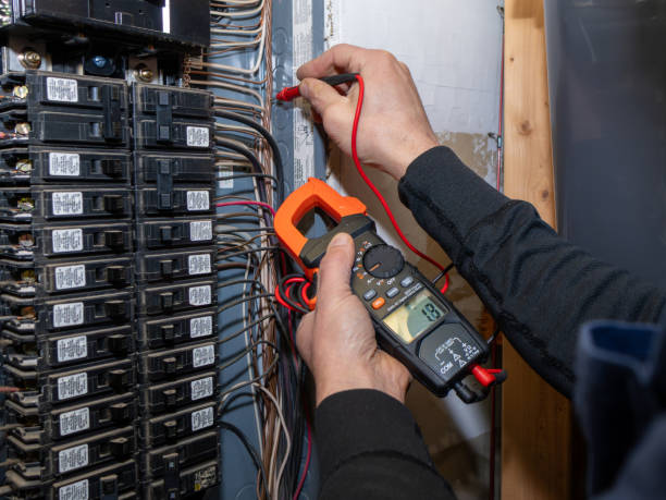 Best Affordable Electrician  in Carson City, MI