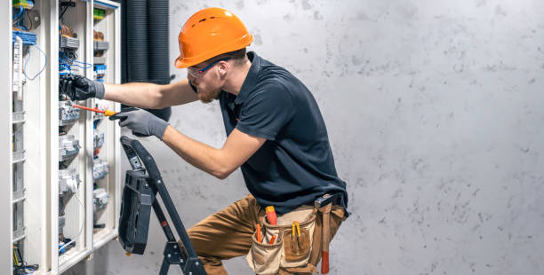 Best Electrical Troubleshooting Services  in Carson City, MI